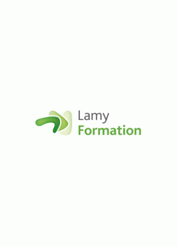 Logo Lamy formation