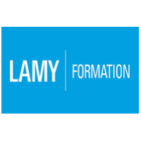31.Lamy Formation